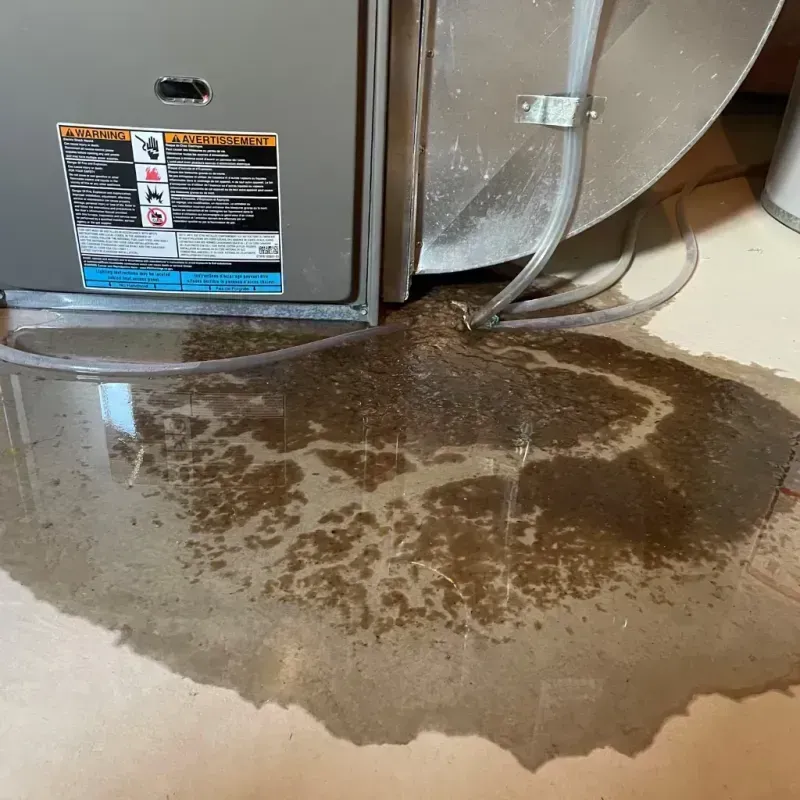 Appliance Leak Cleanup in Elberton, GA